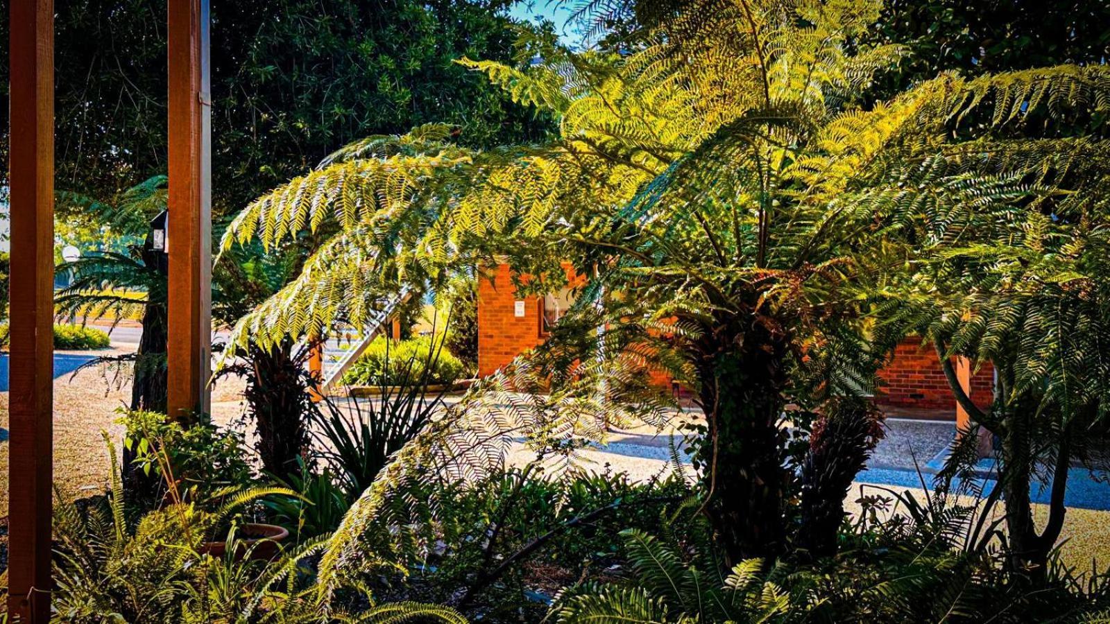 Mountain Creek Motel Bar&Restaurant Mount Beauty Bagian luar foto